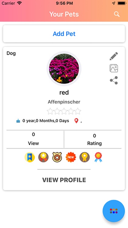 PetFiestas screenshot-4
