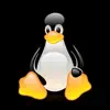Practical UNIX Linux App Delete