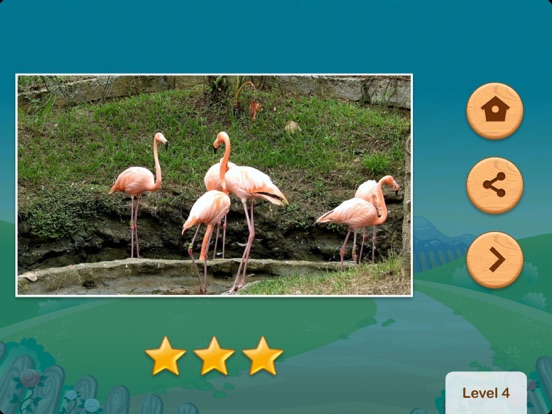 Hidden Video - Math Puzzles iPad screenshot 4 - Education app