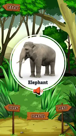 Game screenshot Learn Sound : Animals,Birds hack