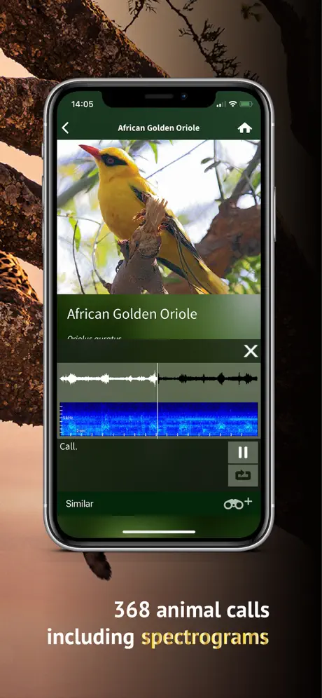 The Golden Safari Guide