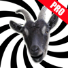 Screaming Goat - Trademark Applications