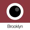 Analog Brooklyn App Feedback