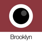 Download Analog Brooklyn app