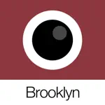 Analog Brooklyn App Problems