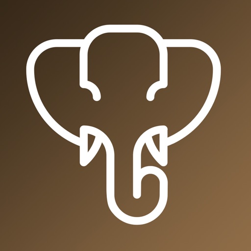 YAPSI Work, Cobra con tu móvil