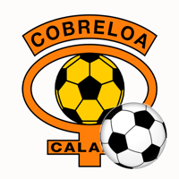 Portal Jugadores Cobreloa