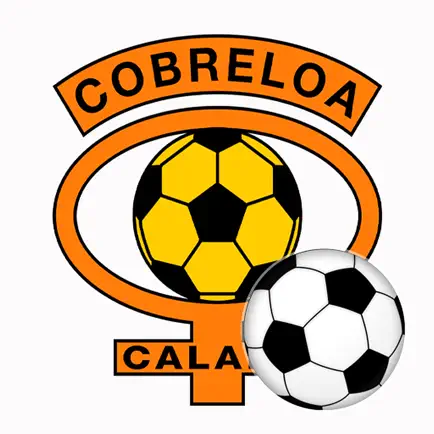 Portal Jugadores Cobreloa Читы