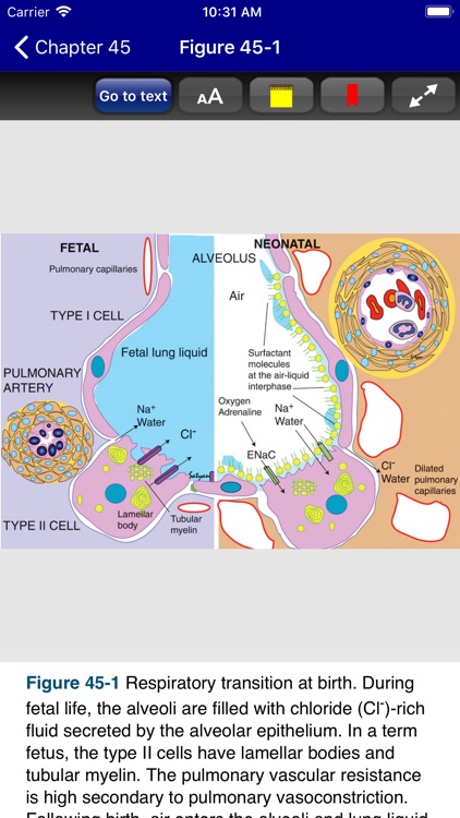 Rudolph's Pediatrics, 23/E screenshot-5
