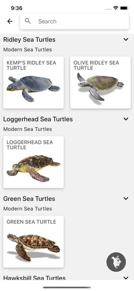 Reptiles & Amphibians of NA