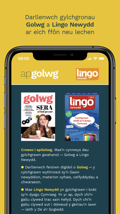 apGolwg Screenshot