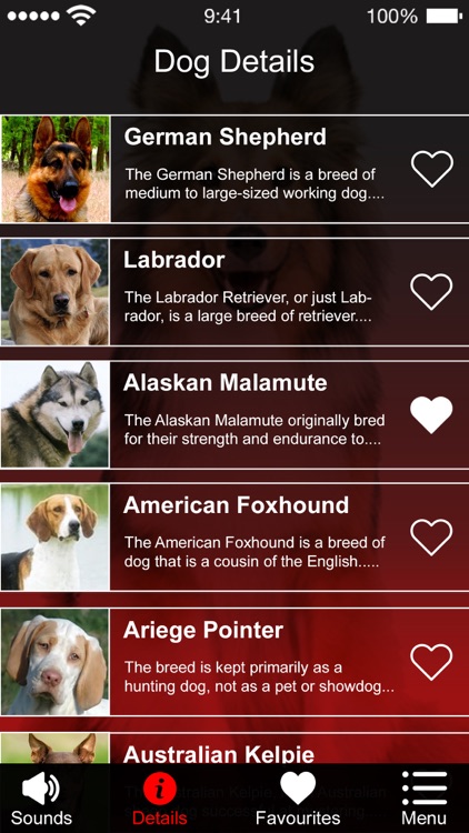 Dog Barking Sounds & Noises