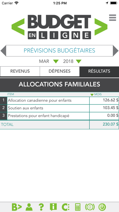 Budget en ligne Screenshot