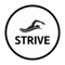 Strive allows you to track new and old times, note down feedback from yourself, coach or anyone else, graph results to see overall progression and overall improve efficiently to get that edge over your competitors