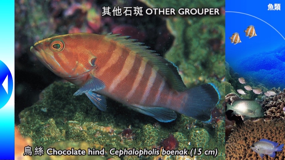 #4. Reef Check Hong Kong (iOS) 由: Agriculture, Fisheries and Conservation Department