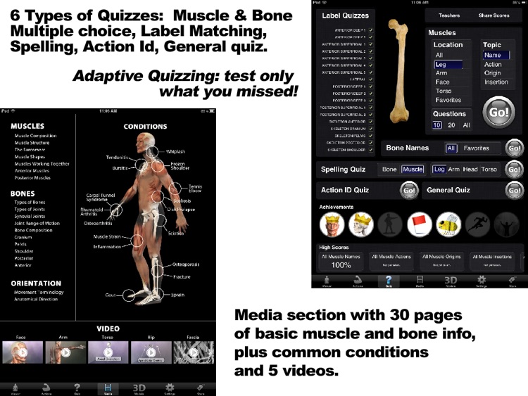 Muscle & Bone Anatomy 3D screenshot-4