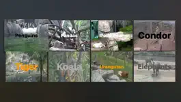 Game screenshot Animal CAMS TV mod apk