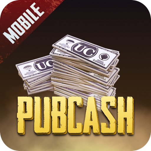 Pubcash