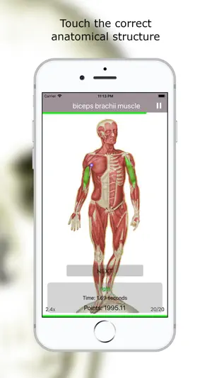 Anatomy Quiz Premium screenshot 2