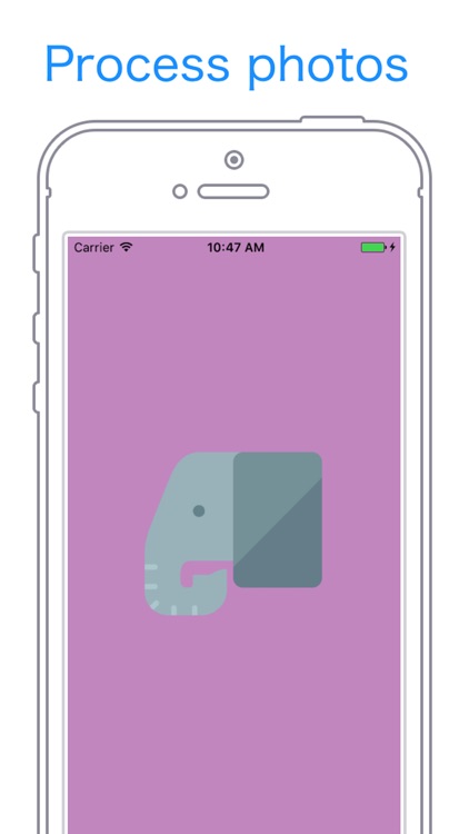 Mosaic & photo process -Gazou-