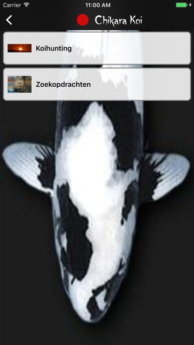 Screenshot #3 pour Chikara Koi