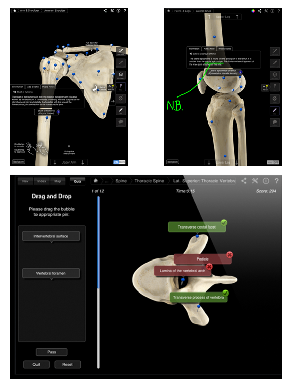 Skeleton System Pro III Screenshots