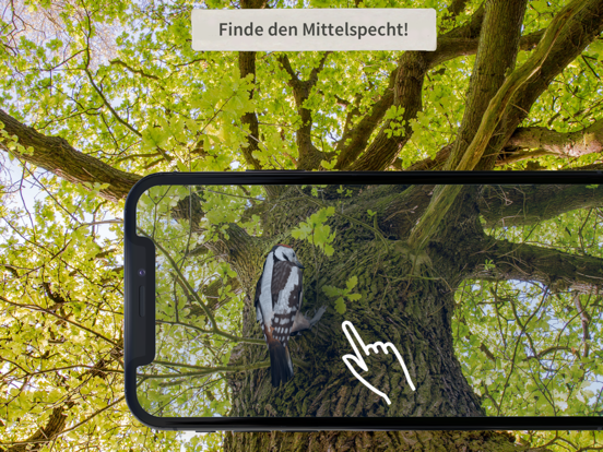Screenshot #4 pour Villewälder