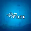 Vilte App problems & troubleshooting and solutions