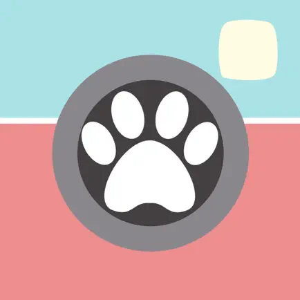 Paw Pics Читы