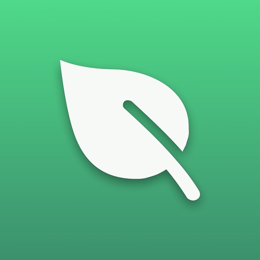 Jungled: Delightful Plant Care