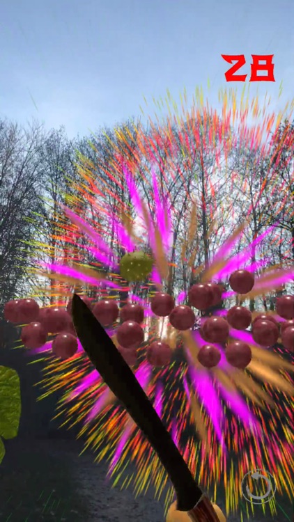 Fruit Warrior AR screenshot-6