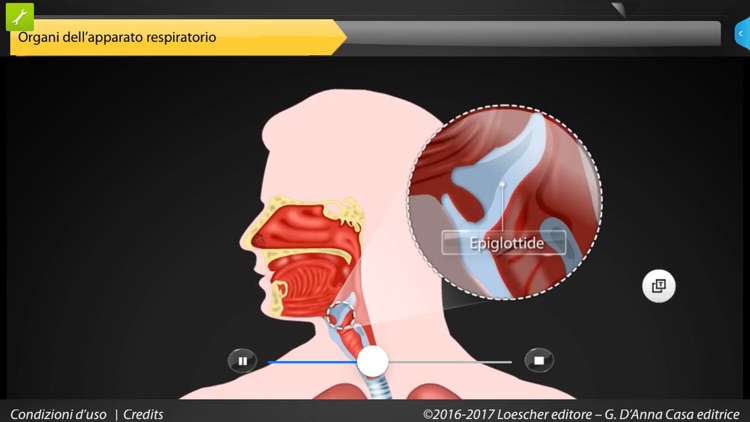 APPunti di anatomia for iPhone screenshot-3