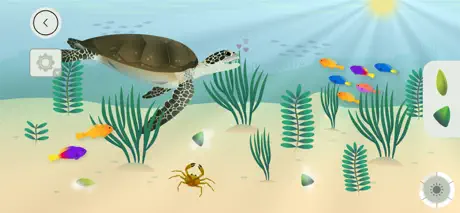 Korallrev från Tinybop