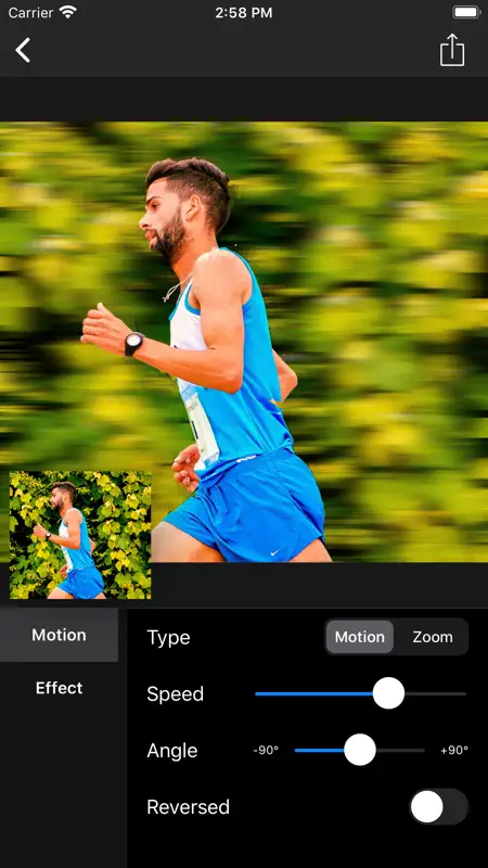 Motion Blur - Panning Photo screenshot 4 of 10