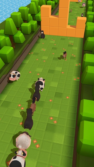 Animal Escape! Screenshot
