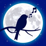 Download Relaxed - Sleep Sounds & Relax app