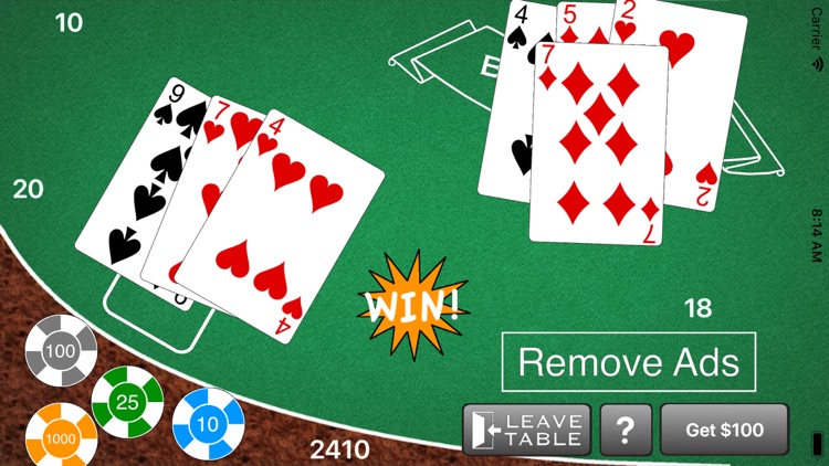 Blackjack - Casino Style 21 screenshot-4