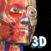 3D Anatomy Learning – Atlas
