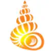 Shell Museum: Identify Shells App Positive Reviews