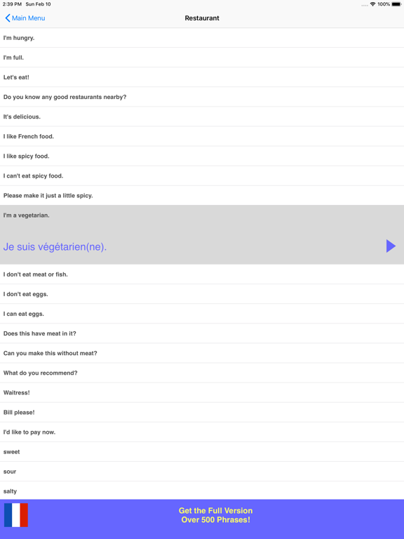 Speak French Phrasebook Lite iPad screenshot 4 - Travel app