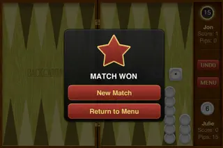 Backgammon Pro - Screenshot 2