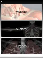 anatomy quiz pro ipad capturas de pantalla 1