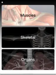 Anatomy Quiz Pro ipad bilder 0