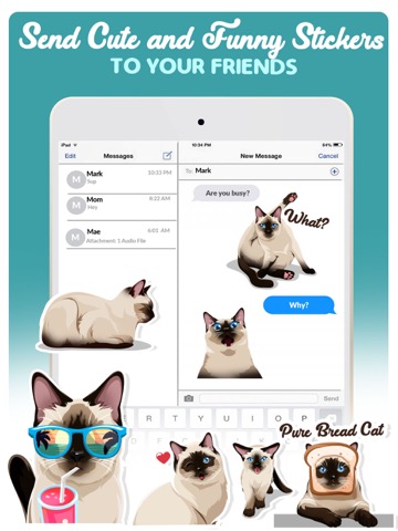 Siamese Cats Emoji Stickerのおすすめ画像4