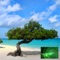 The MotorCo VR Guide to Aruba is a location based application, which shows the user's relative location to all the travel attractions in Aruba