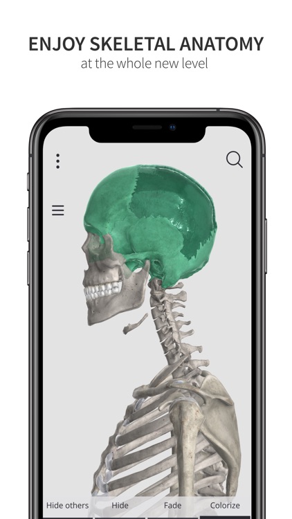 Anatomyka Skeleton screenshot-8