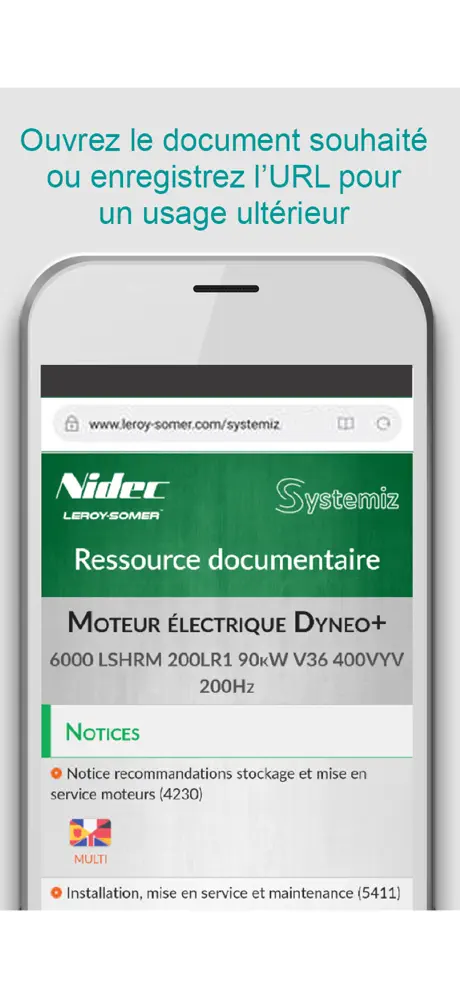 Systemiz