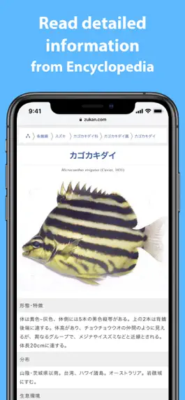 Game screenshot Mikke Fish ID hack