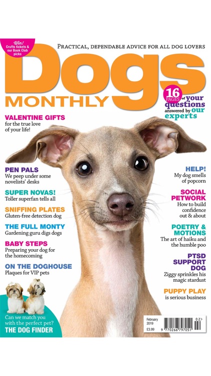Dogs Monthly Magazine