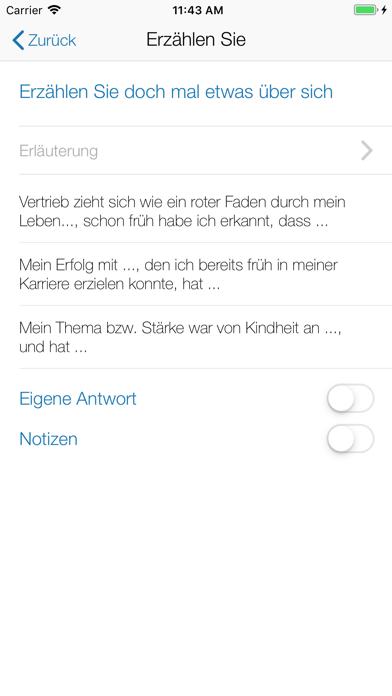 Vorstellungsgespräch Screenshot